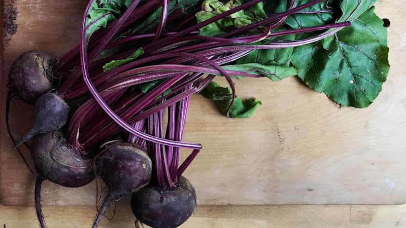 Transit-tid - Louise Bruun