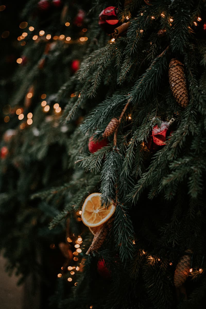 Glædelig 24. december - Louise Bruun