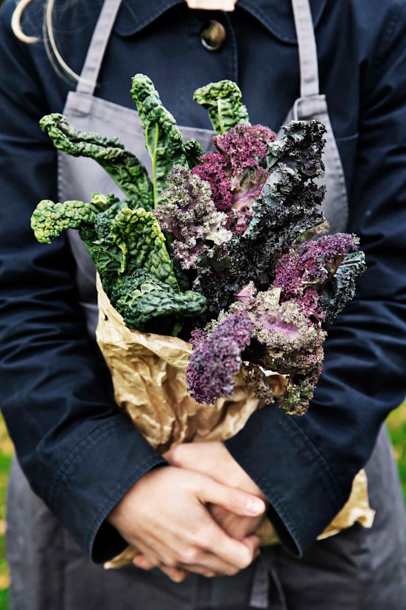Min yndlingssalat med rød grønkål og sort quinoa - Louise Bruun